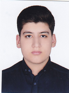 تصویر حسام لنگرودی